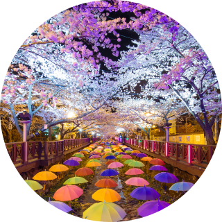 Yeojwacheon Stream, Changwon, Gyeongnam