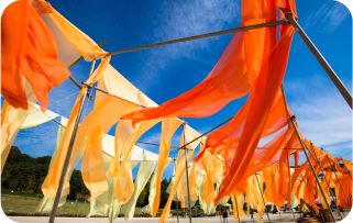 Natural Dyeing Festival