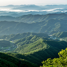 한국의 산