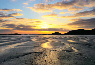 신안 갯벌