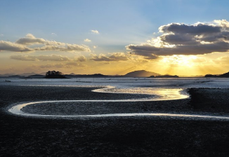 보성 순천 갯벌