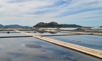 비금도 대동염전