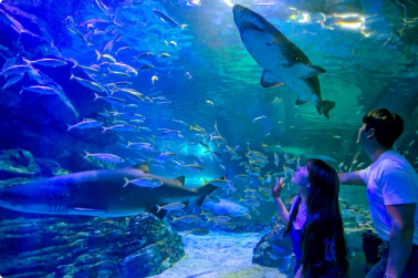 어류생태연구원